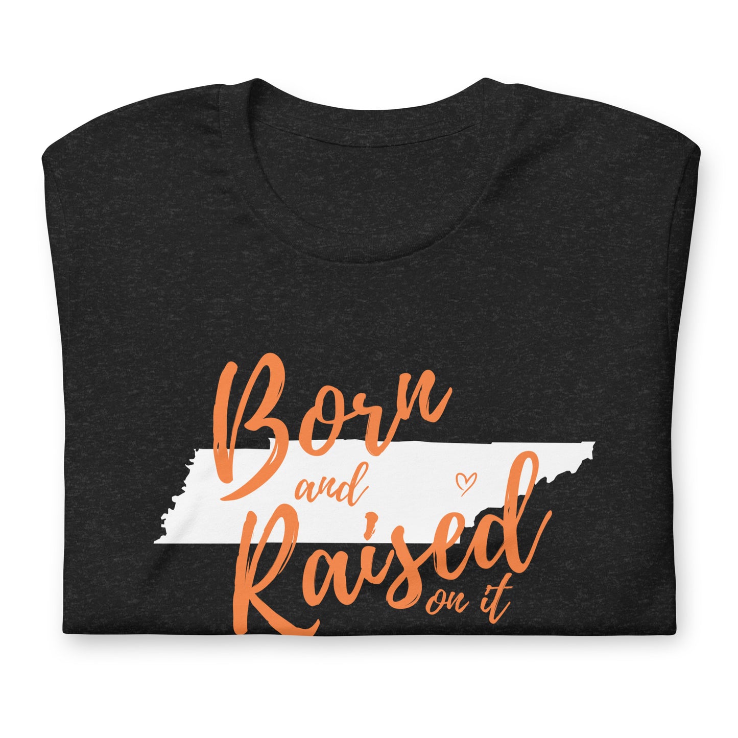 Born and Raised TN Unisex t-shirt