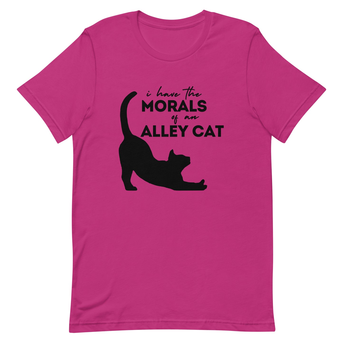 Morals of an Alley Cat Unisex t-shirt