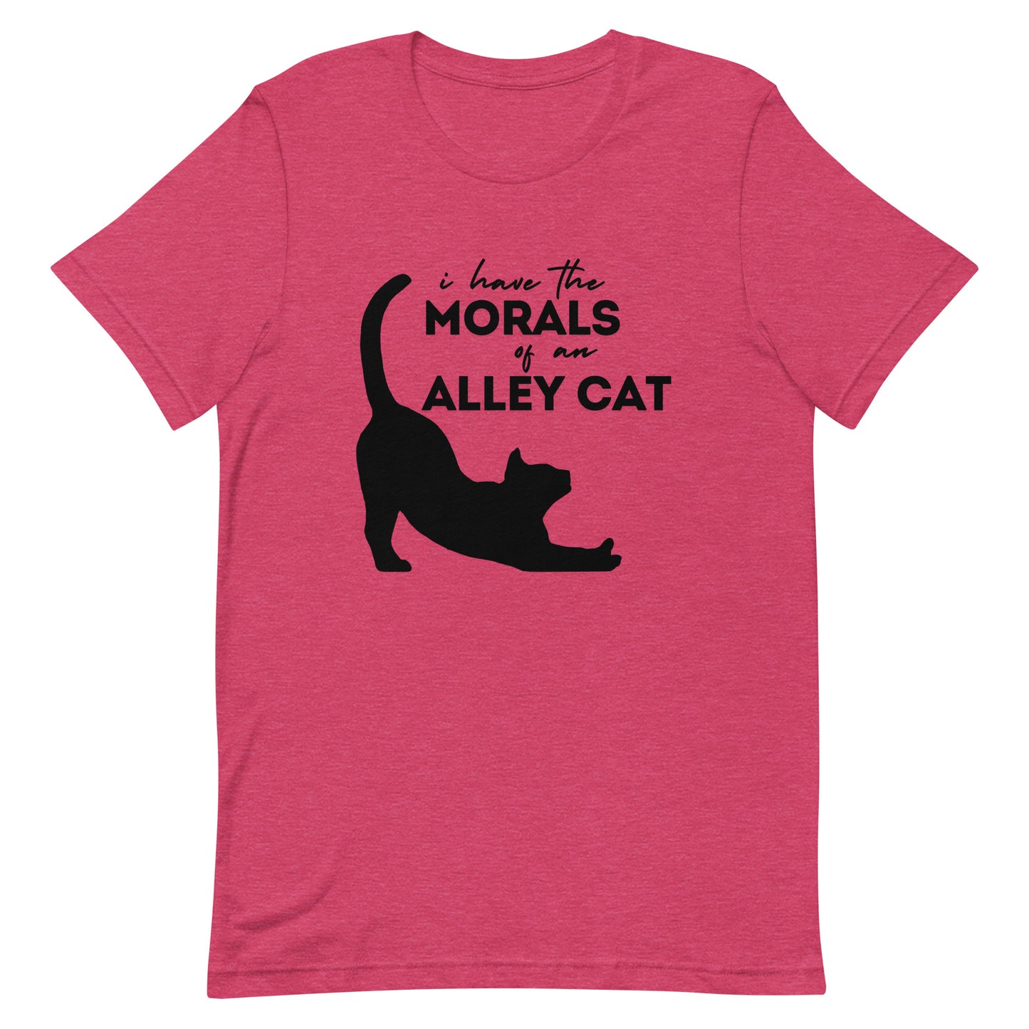 Morals of an Alley Cat Unisex t-shirt
